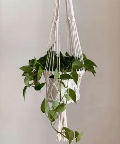 Ceremonia Best Sellers Plant Hanger Basket - Cream