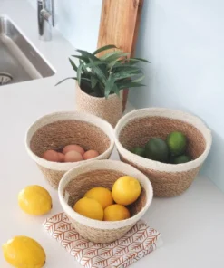 Korissa Savar Plant Bowl Set Home Goods