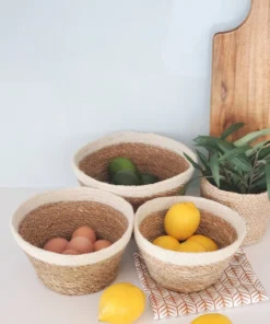 Korissa Savar Plant Bowl Set Home Goods