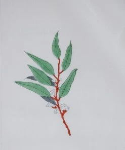 Soil To Studio Best Sellers Amara Linen Curtain Panel