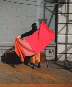 Soil To Studio Accessories Vandana Color Blocked Merino Scarf