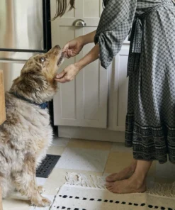 Territory Design Home Goods Laine Wool Accent Rug