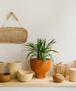 Territory Design Mixta Palm Basket Home Goods