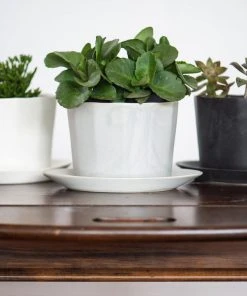 The Bright Angle Home Goods Native Porcelain Planter - Mica Black