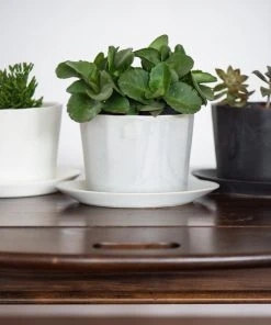 The Bright Angle Home Goods Native Porcelain Planter - Rosemary Green