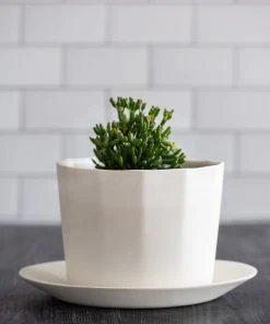 The Bright Angle Native Porcelain Planter - Smoke Gray Home Goods