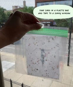 Cute Root You Grow Girl Plantable Cards - 10 Pack Greeting Cards 9 Cute Root You Grow Girl Plantable Cards - 10 Pack Greeting Cards