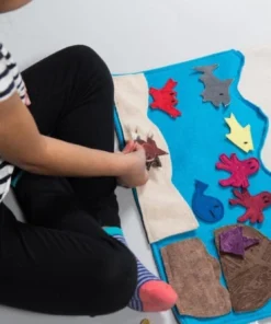 Zeki Learning Sea Habitat Storyboard